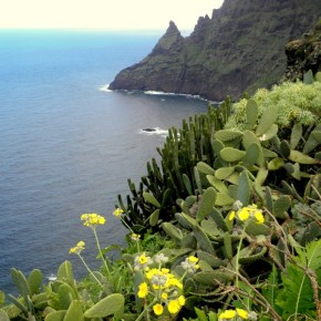 Pointe de l'Hidalgo