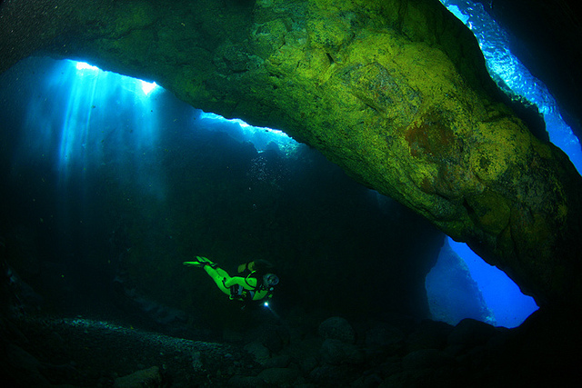 Safari and diving in Tenerife, La Gomera, The iron, The Palm.